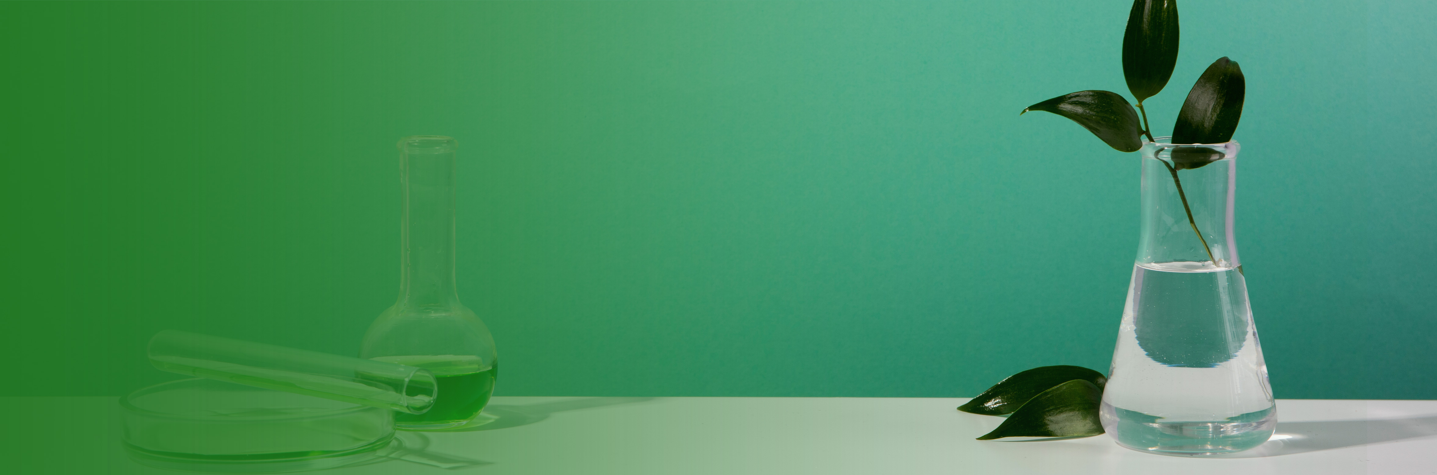 Page Banner Image